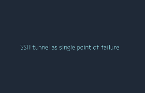 gallery/03-ssh-tunnel-spof.png